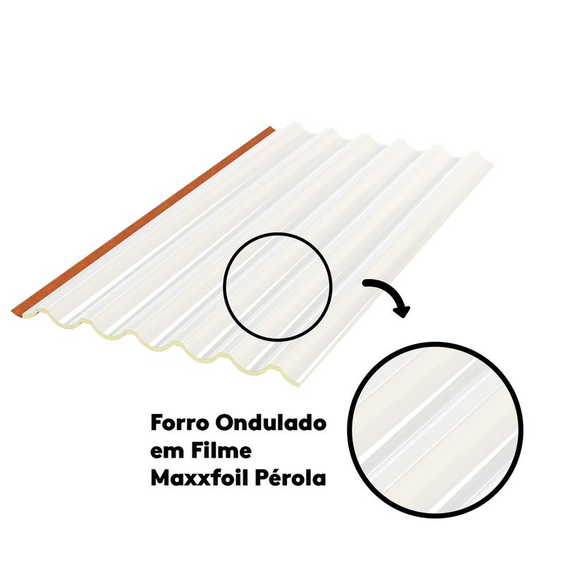 Forro-8023